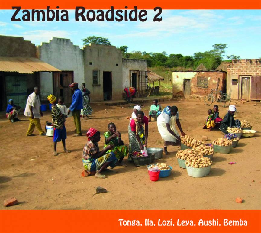 Zambia Roadside 2